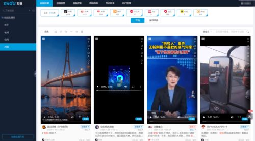 中新國際聯合新浪蜜度 打造專業輿情監測服務，賦能黨政機關企事業單位科學決策